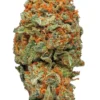 AK 47 Strain