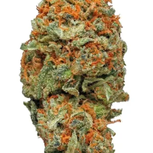 AK 47 Strain