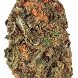 Acapulco Gold