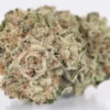 Gorilla glue
