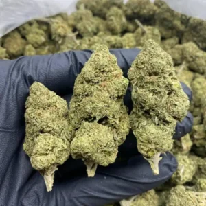 OG Kush