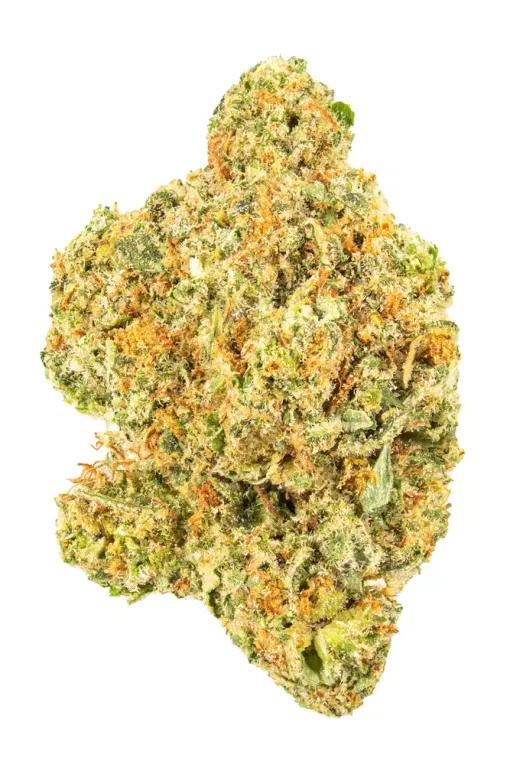 Super Silver Haze