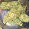 Bruce Banner